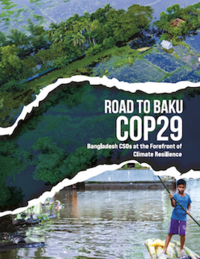 Position paper for COP29